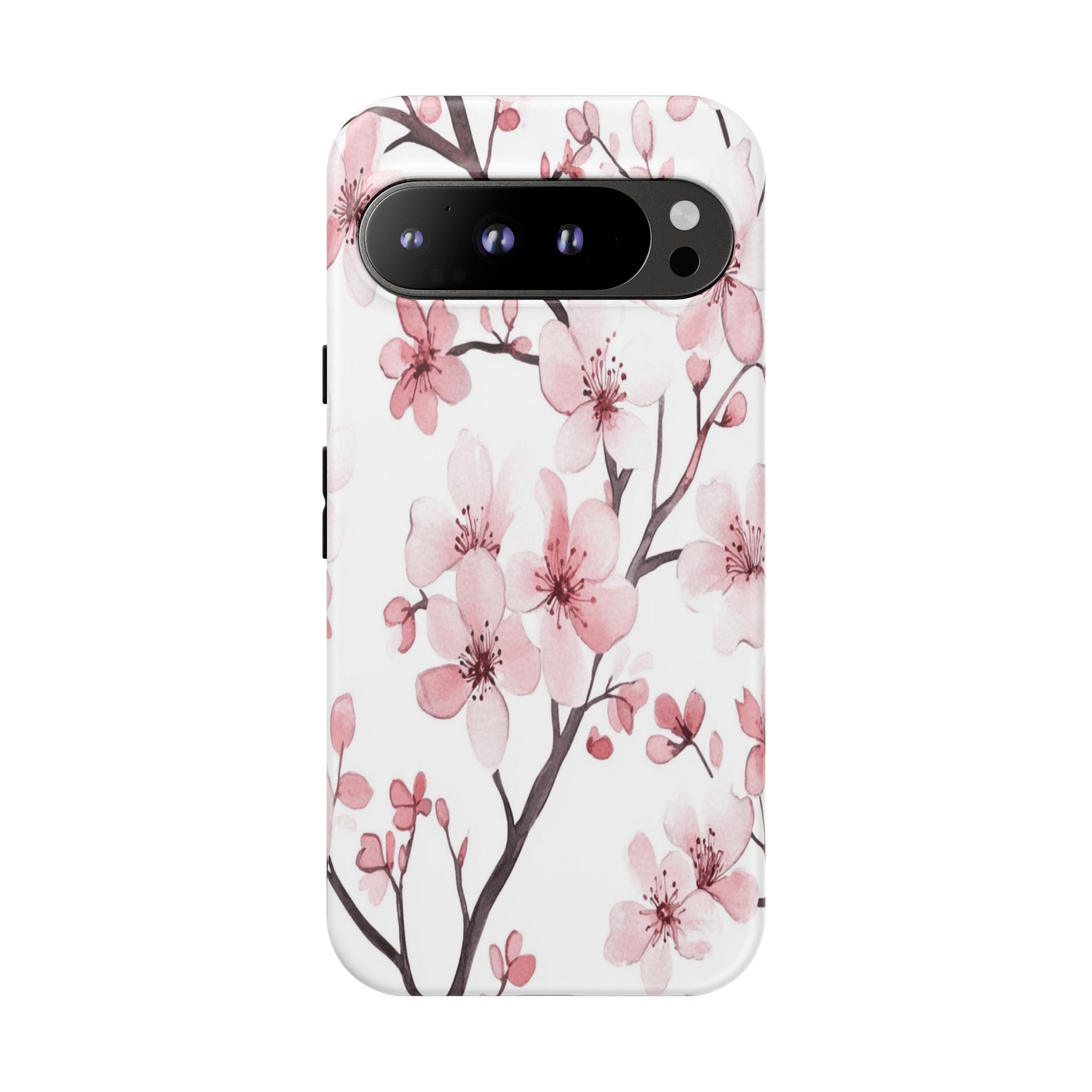 Cherry Blossoms