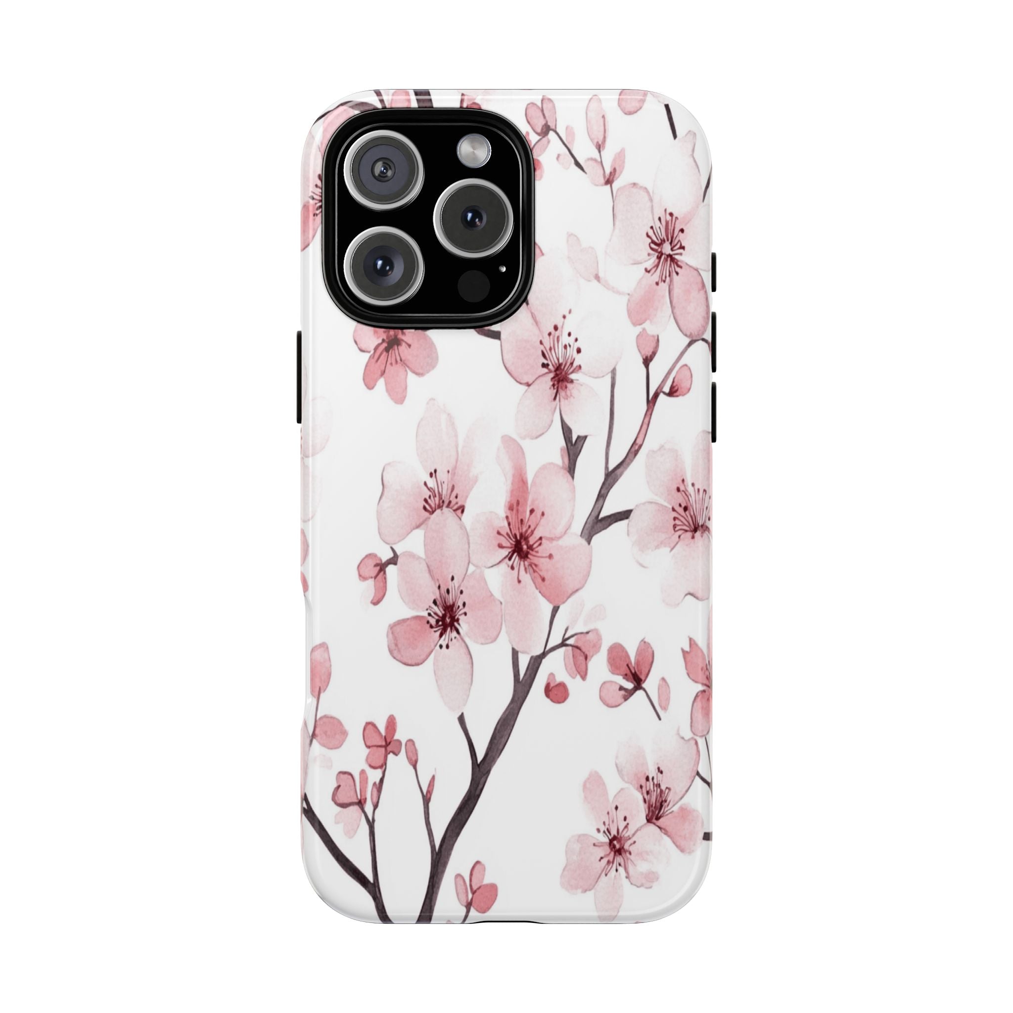 Cherry Blossoms