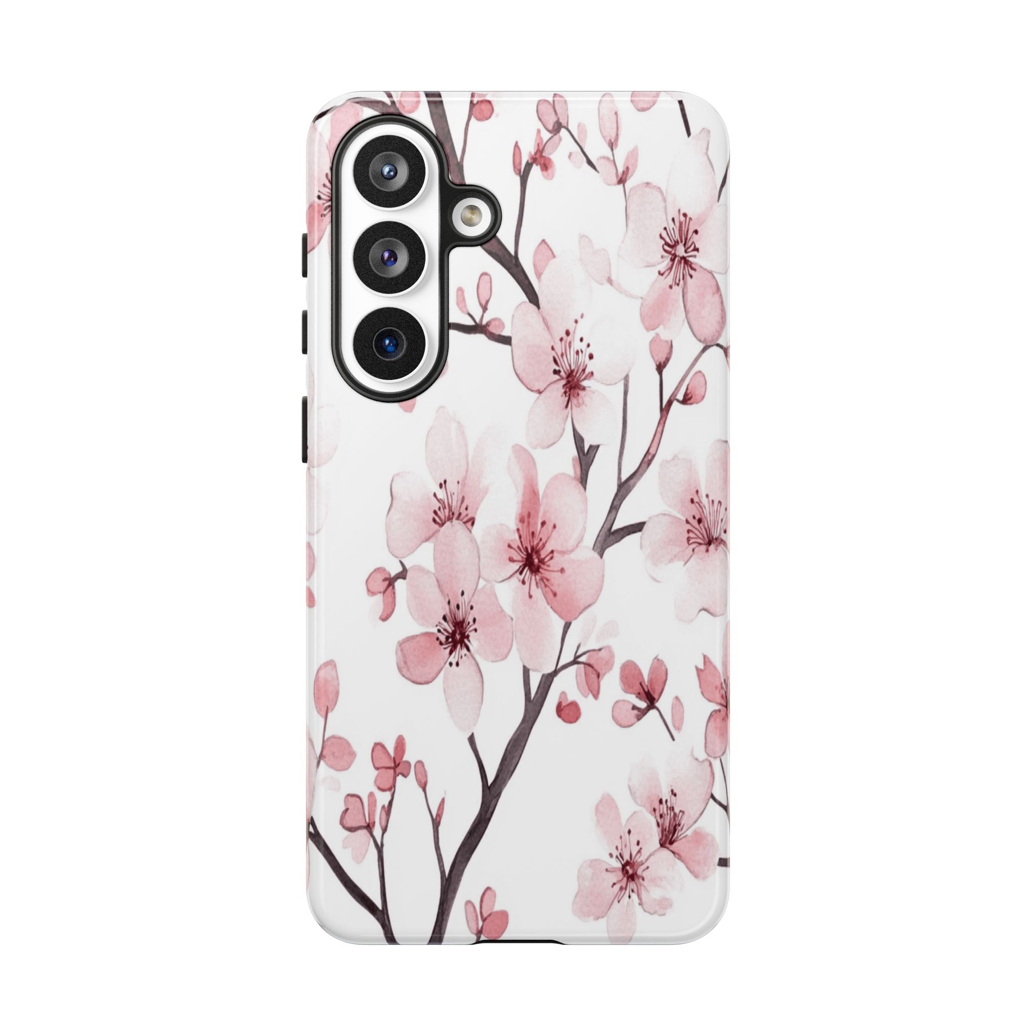 Cherry Blossoms