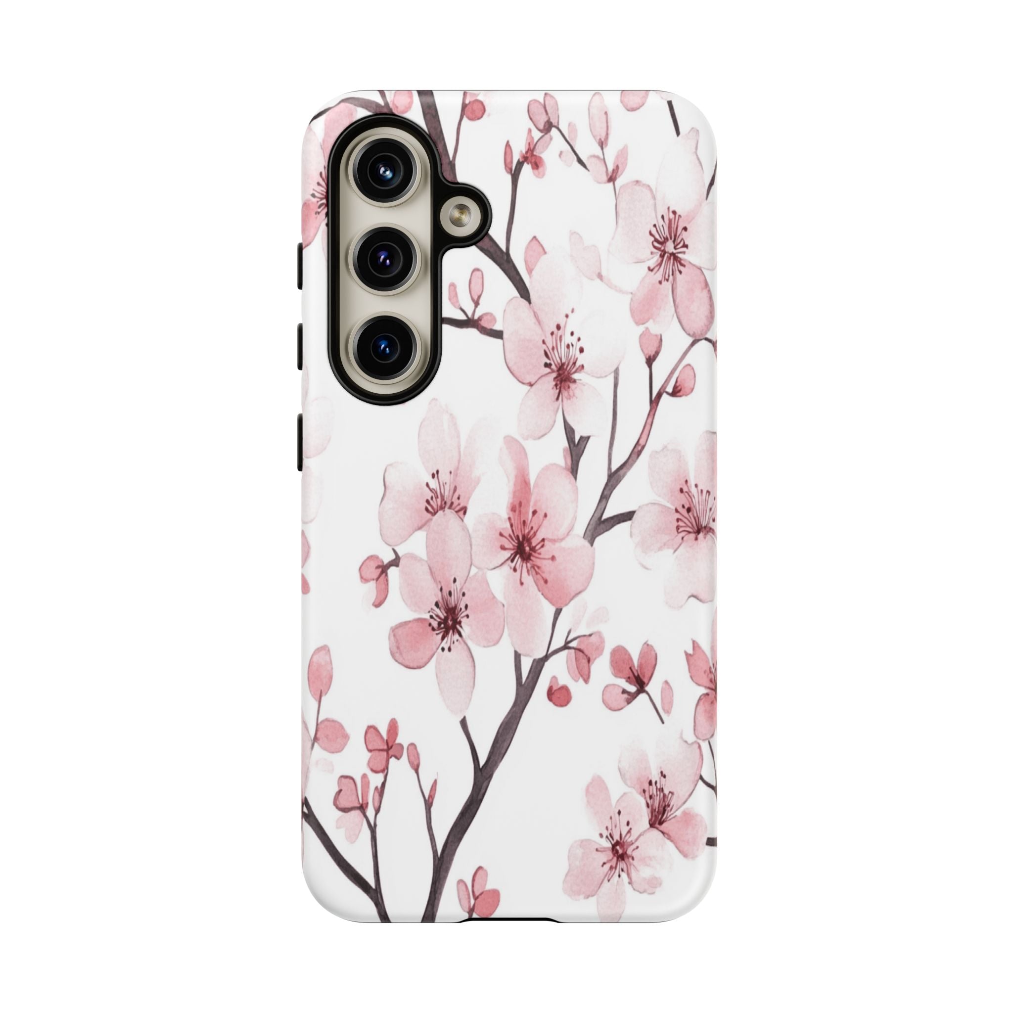 Cherry Blossoms
